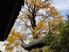 -新万鑫银丝面·非遗无锡味(惠山古镇店)
