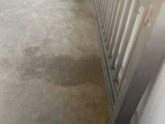 -高家大院烤全羊