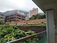 -香港大学