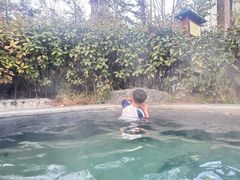 -太白山御龙湾温泉