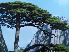-临街徽菜馆·正宗黄山味