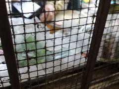 -屋里家延边朝鲜族冷面(南园店)