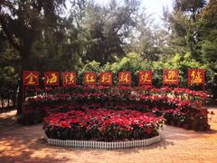 -北海金海湾红树林生态旅游区