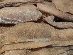 -红辣椒·川菜·火锅(张杨路店)