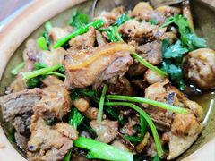 -华仔土鸡店(南洲分店)