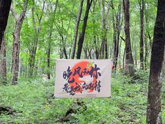 -帽儿山风景区