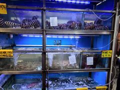 -富来美食(成发大厦店)