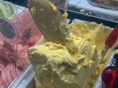 -柠檬车露(卖草地店)