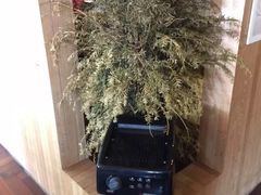 -熊猫邮局(少城店)