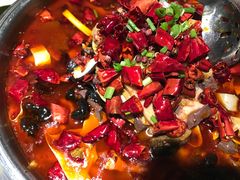 山城毛血旺-天和晟烤鸭店(玉泉西街店)