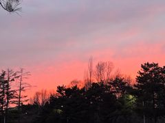 -吉林大学前卫校区南区-日新楼