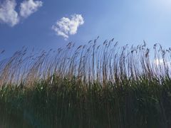 -大理洱源西湖景区