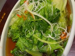白灼罗马生菜-恭敬李·烤鸭(天坛北门店)