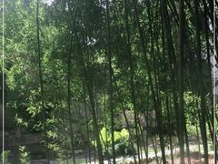 -福建鲤鱼洲酒店