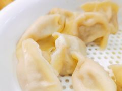 牛肉萝卜饺子-洪姐川菜东北菜铁锅炖(天生丽街店)