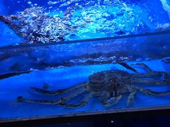 -月下料理(楷林IFC店)