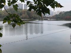 -重庆彩云湖湿地公园