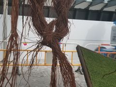 -星光大道
