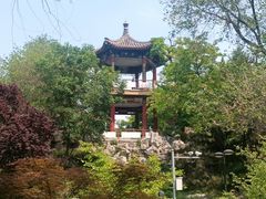 -莲花池公园