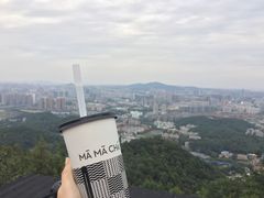 神韵乌龙-MAMACHA妈妈茶(岳麓山店)