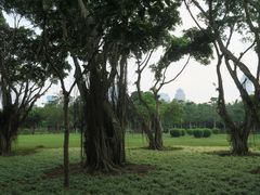 -万绿园