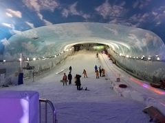 -世界之窗阿尔卑斯冰雪世界
