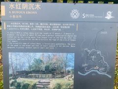 -唐崖土司城遗址