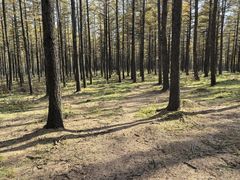 -塞罕坝国家级自然保护区