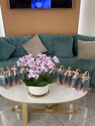 -雅曼妮spa美容养生