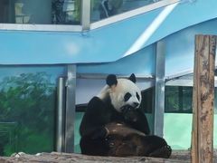 -大连森林动物园