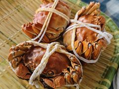 -蟹天蟹地农家菜·阳澄湖大闸蟹(浅水湾店)