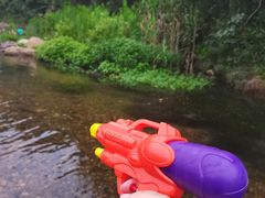 -北仑森林植物园