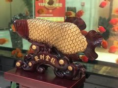 -雅和生态渔庄·宜城锅巴饭(龙灵山公园店)