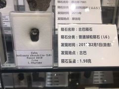 -志强陨石馆(双季花艺店)