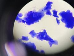 -宠颐生动物医院·小陆分院