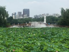 -黄兴公园