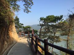 -羚羊峡古栈道森林公园