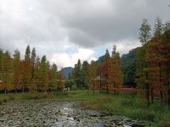 -广州市石门国家森林公园