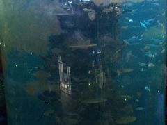 -青岛嘉年华主题乐园