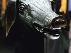 -广西壮族自治区博物馆