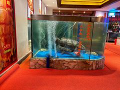 -惠食佳(滨江大公馆店)