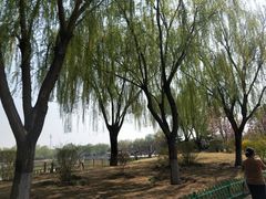 -燕郊植物园