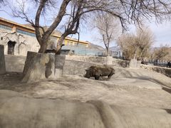 -新疆天山野生动物园