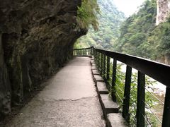 -太鲁阁公园