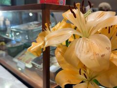 -小西家作•精致蛋糕(富力爱丁堡店)