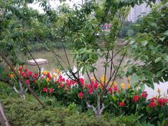 -沐仙湖湿地公园