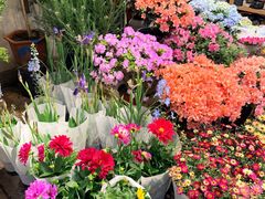 -双季花艺园艺市场(浦东店)