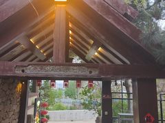 -鲁菜根·泰山菜(泰山店)