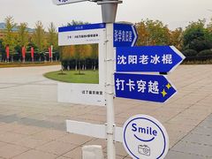 -大悦城(沈阳中街店)