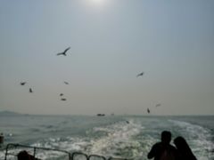 -海驴岛(荣成市)